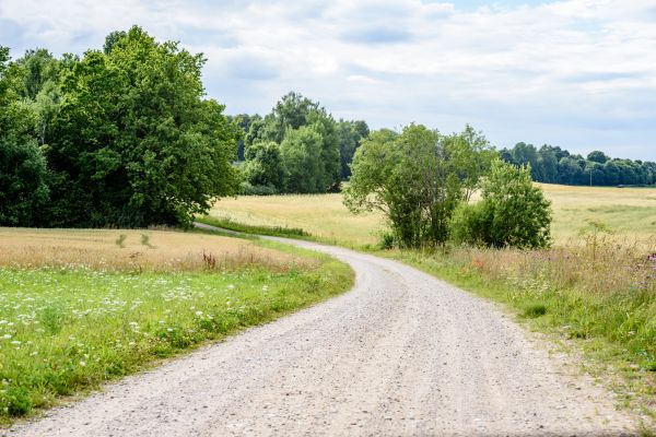 Cost of Stone Driveway Repair in Rockville
