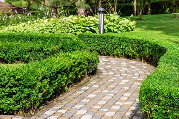 Cost of Paved Landscaping in Rockville