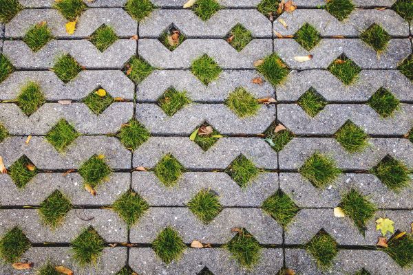 Cost of Porous Paver Installation in Rockville