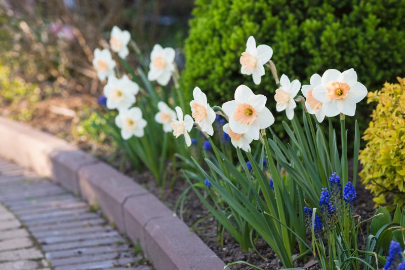 Paver Pattern with Borders